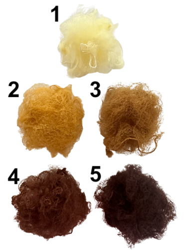 Hairnets (3 pcs.)