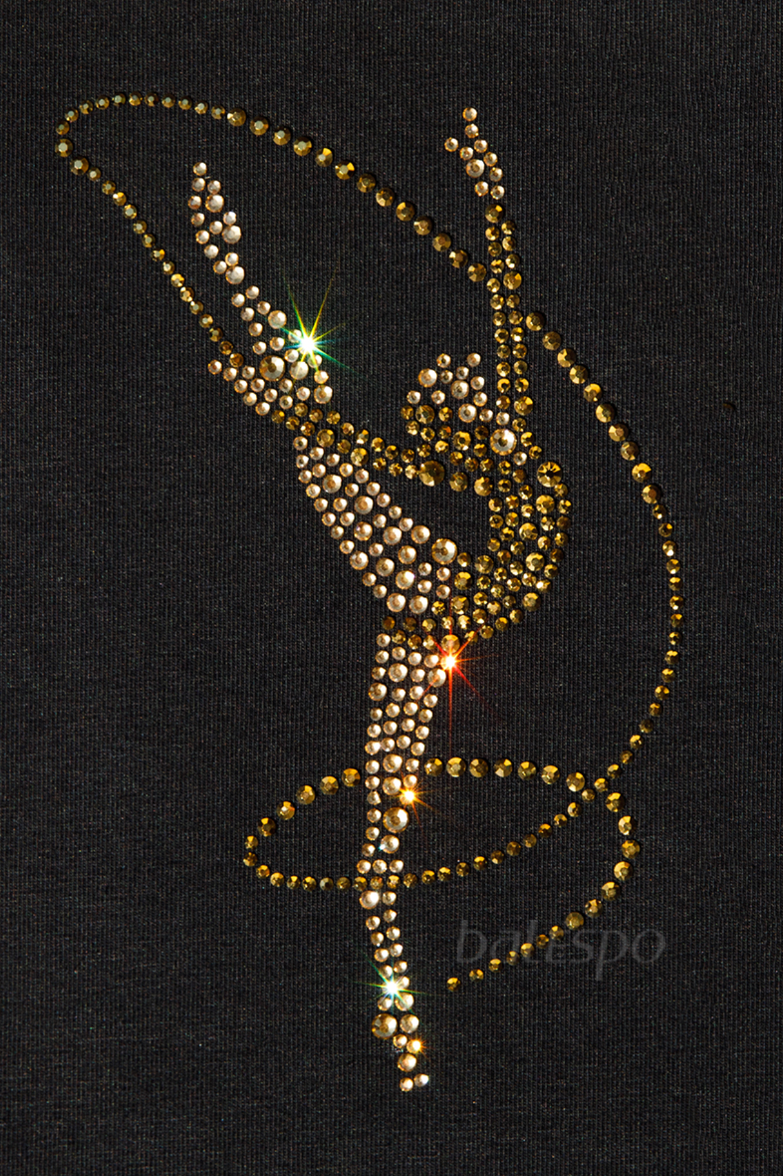 Long sleeve top "Gold Crystals"